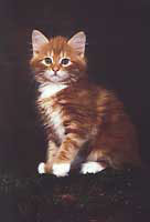 Balu