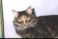 Catinka